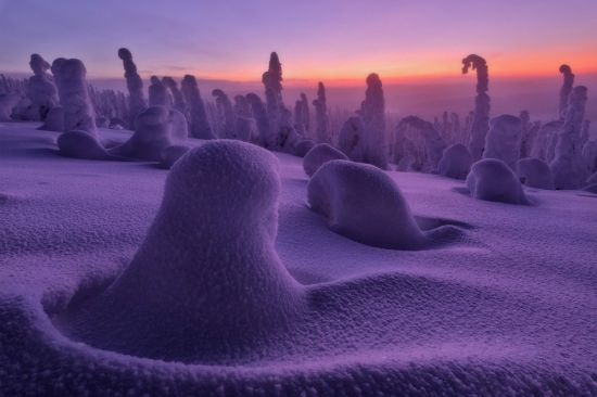 Холодные пустыни (46 фото)