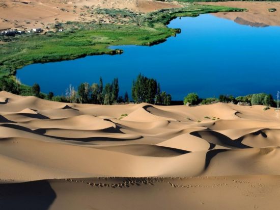 Пустыня сахара оазис (55 фото)