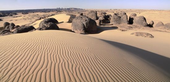 Пустыня каракумы туркменистан (51 фото)