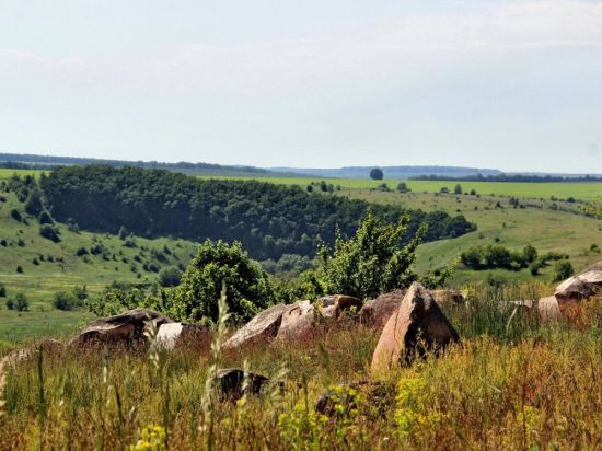 Река семенек (57 фото)