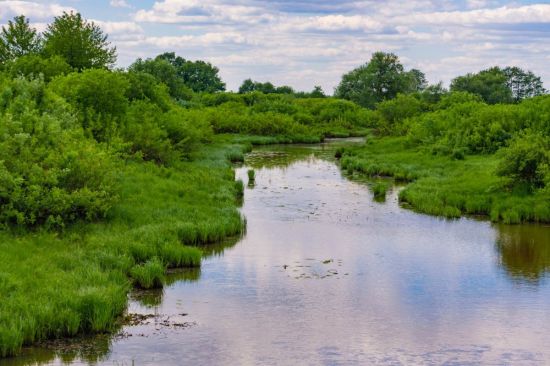 Река бебря (53 фото)