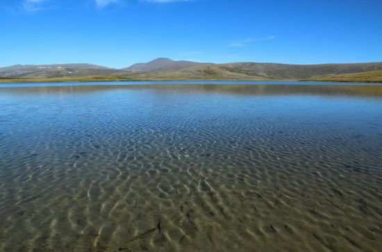 Озеро агачкуль (55 фото)