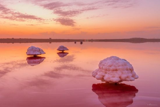 Херсон розовое озеро (52 фото)