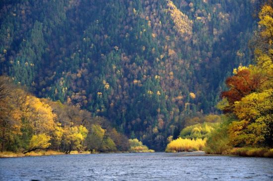 Река амур осенью (49 фото)