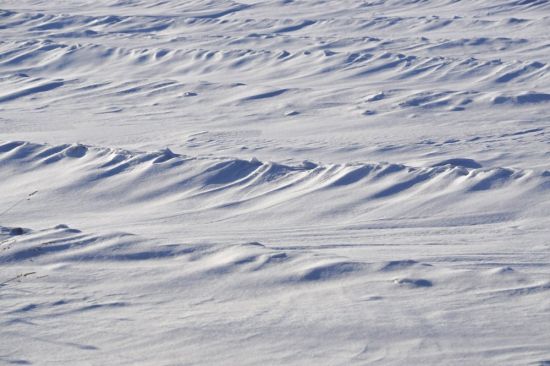 Снежные волны (63 фото)