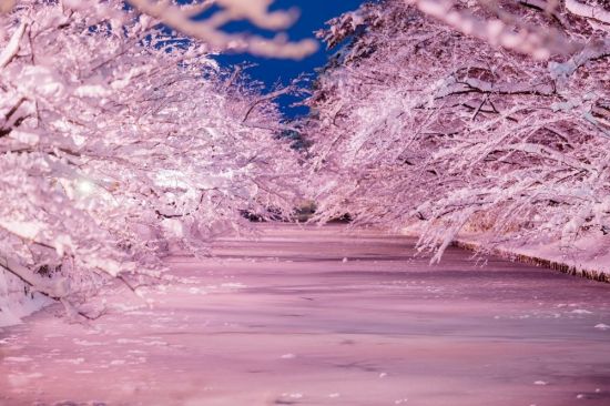 Розовый снег фиолетовый дождь (44 фото)