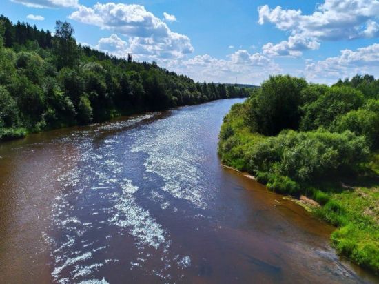 Межа река в костромской (56 фото)