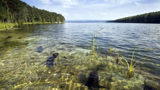 Озеро агашкуль (53 фото)