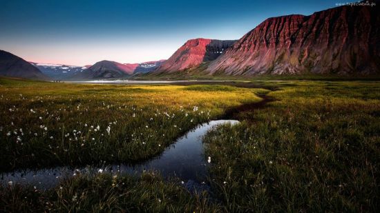 Исландия равнины (38 фото)