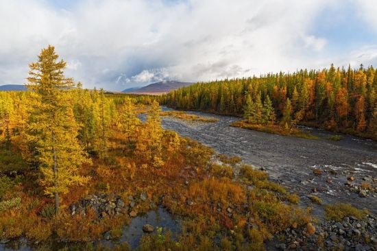 Осень на ямале (52 фото)