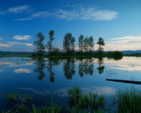 Озеро яново (48 фото)