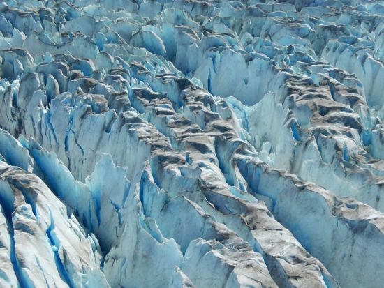 Ледник менденхолл (39 фото)