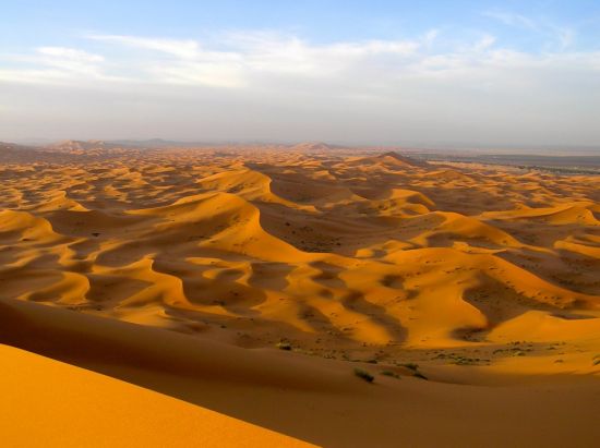 Пустыня северной африки (42 фото)
