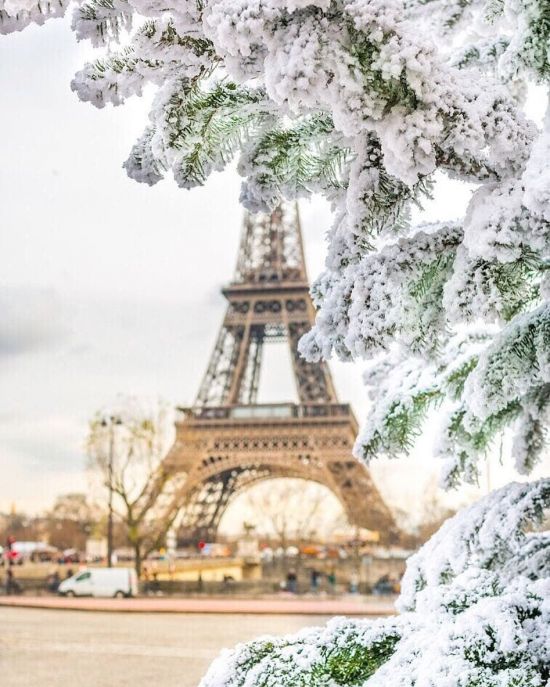 Зимний париж (41 фото)
