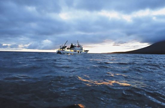 Побережье охотского моря камчатка (33 фото)