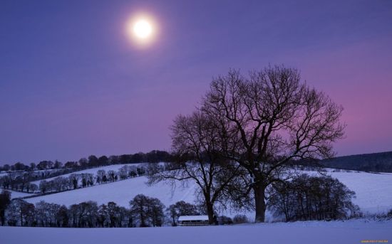 Снежная равнина белая луна (35 фото)