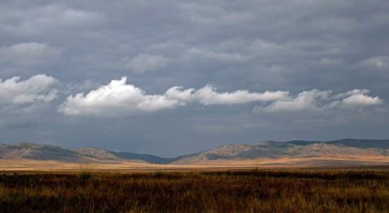 Северо казахская равнина (35 фото)