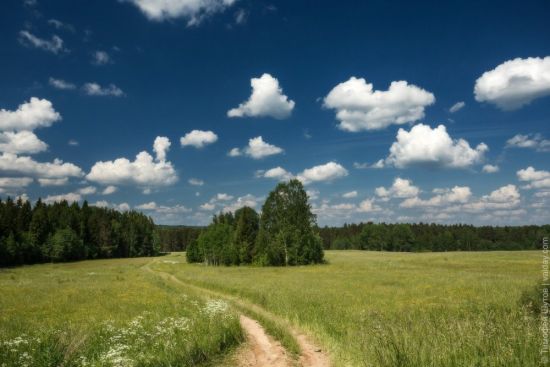 Валдайская равнина (39 фото)