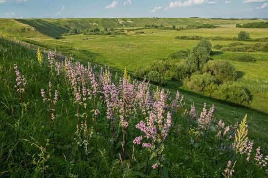 Казанский луг (20 фото)