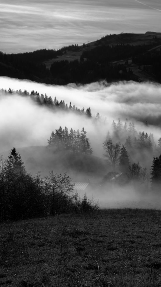 Джаями туман (35 фото)
