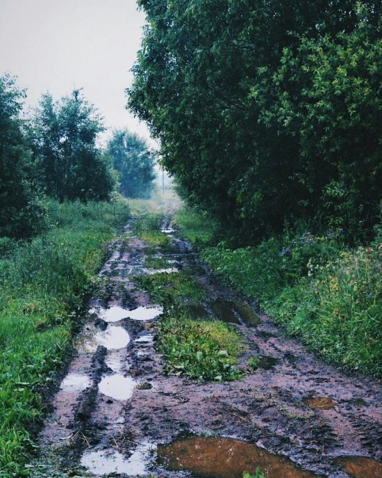 Дождик в деревне (40 фото)