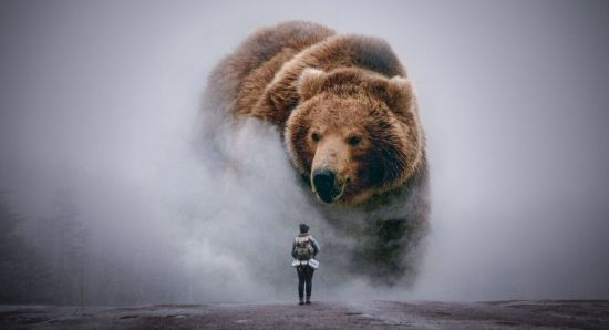 Большой медведь (30 фото)