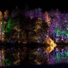Ночной лес (137 фото)