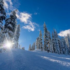 Леса зимой (132 фото)