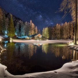 Ночной зимний лес (89 фото)