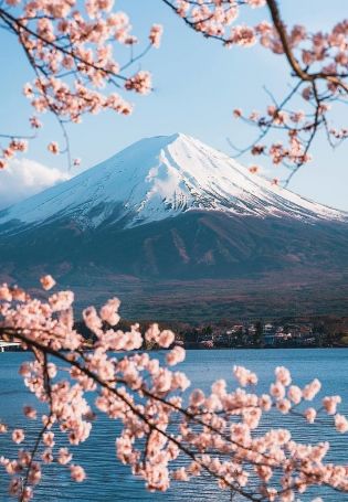 Гора Фудзияма (69 фото)