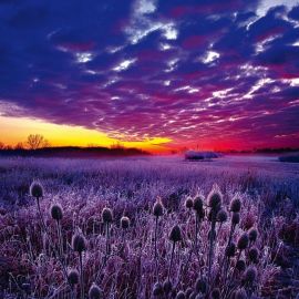 Фиолетовый закат (92 фото)