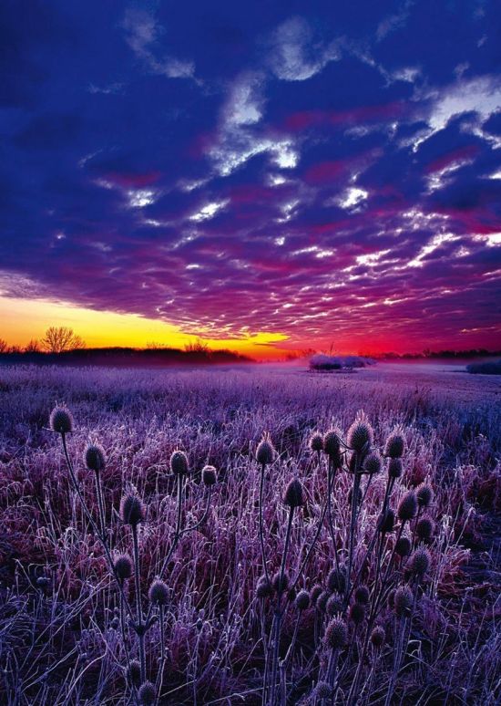 Фиолетовый закат (92 фото)