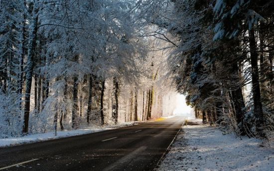Зима лес дорога (47 фото)
