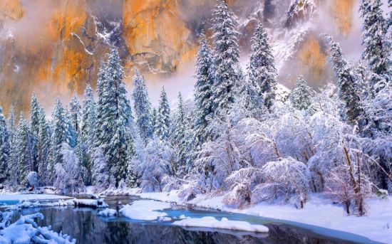 Волшебный зимний лес (18 фото)