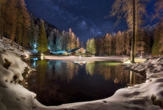Лес зимой ночью (33 фото)