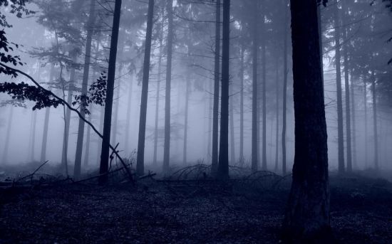 Слендермен в лесу (76 фото)