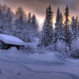 Избушка в зимнем лесу (72 фото)