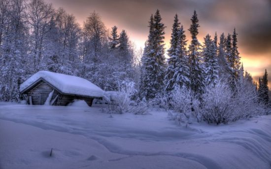 Избушка в зимнем лесу (72 фото)