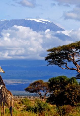 Гора Килиманджаро (100 фото)