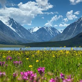 Алтайские горы (61 фото)
