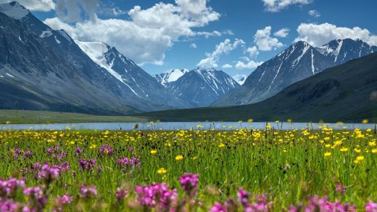 Алтайские горы (61 фото)