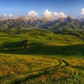 Горы Киргизии (43 фото)