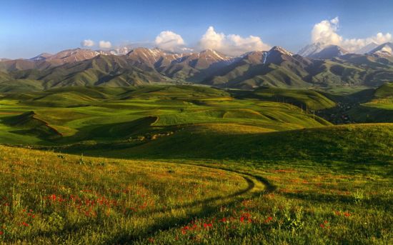 Горы Киргизии (43 фото)