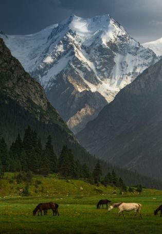 Горы Кыргызстана (51 фото)