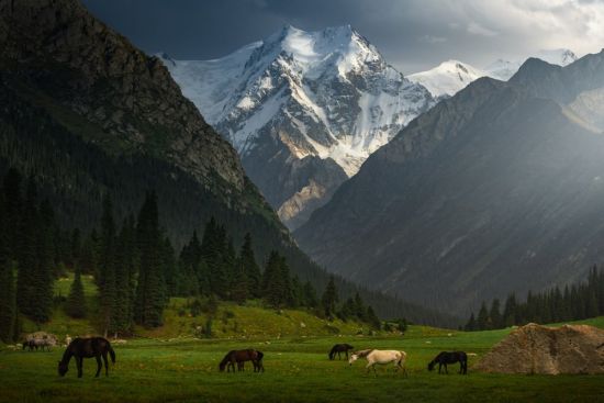 Горы Кыргызстана (51 фото)