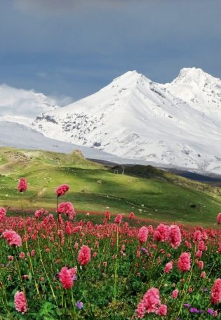 Горы Кавказа Эльбрус (70 фото)