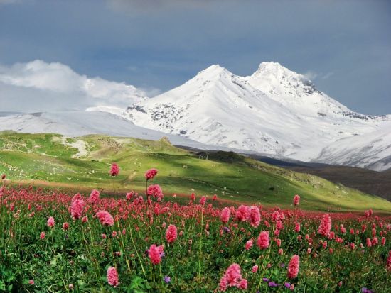 Горы Кавказа Эльбрус (70 фото)