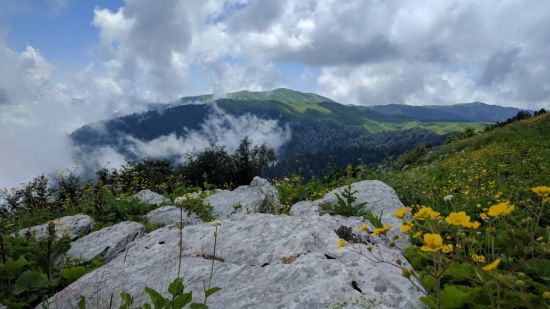 Гора Мамзышха Абхазия (71 фото)