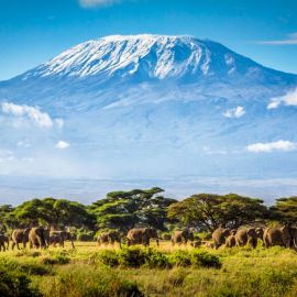 Вулкан Килиманджаро (47 фото)