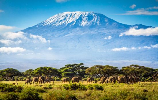 Вулкан Килиманджаро (47 фото)